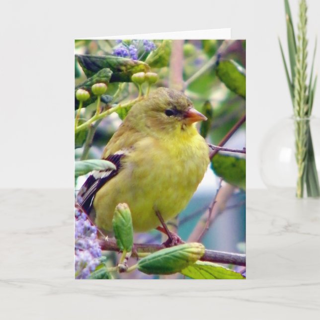 Tarjeta Sólo porque (Anverso)