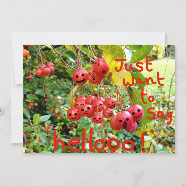 Tarjeta ¡Solo quiero decir Helloo! (Anverso)