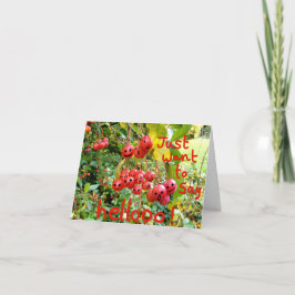 Tarjeta ¡Solo quiero decir Helloo!