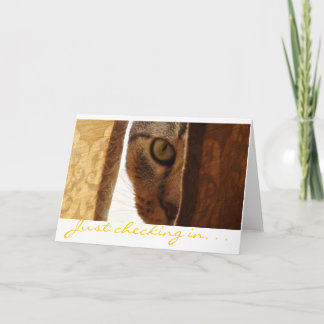 Tarjeta Solo registrando. ...