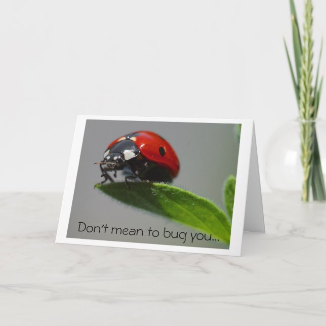 Tarjeta Sólo registrando (Anverso)