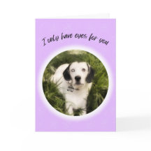 Solo tengo ojos para ti lindo perro Valentine