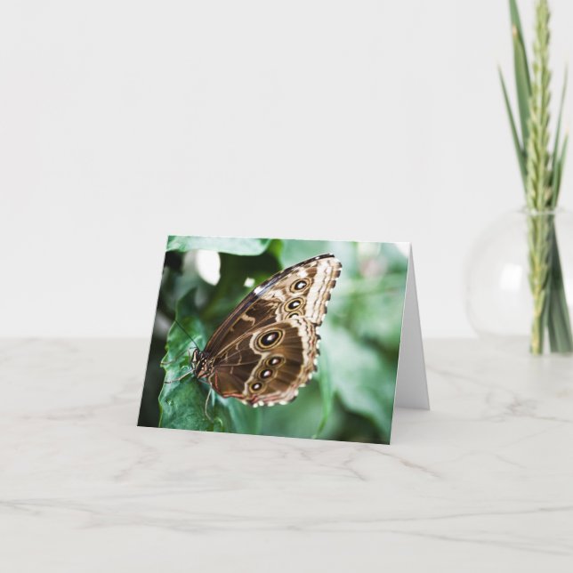 Tarjeta Solo una carta pico (Anverso)