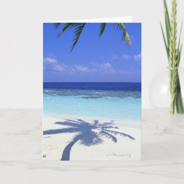 Tarjeta Sombra del árbol de palmas (Anverso)