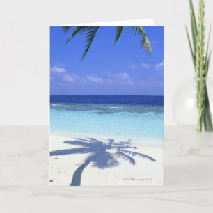 Tarjeta Sombra del árbol de palmas