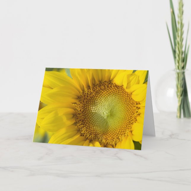 Tarjeta Sombra del oro del girasol (Anverso)