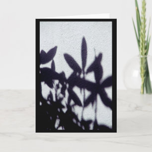 Tarjeta Sombras
