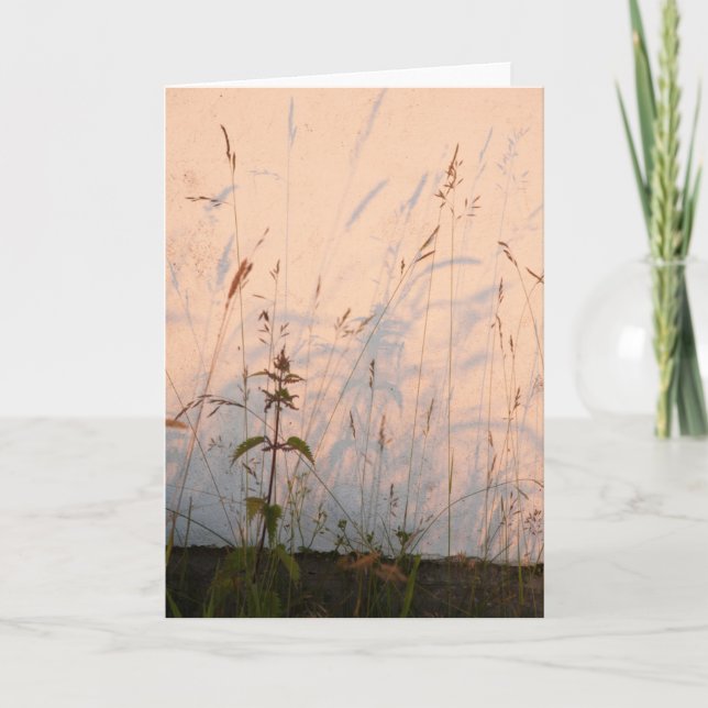 Tarjeta Sombras de hierba (Anverso)