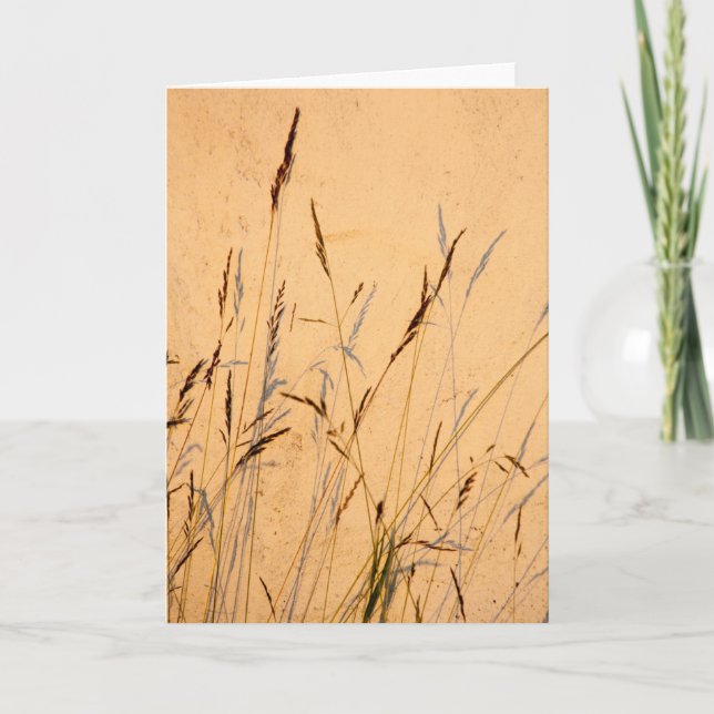 Tarjeta Sombras de verano (Anverso)