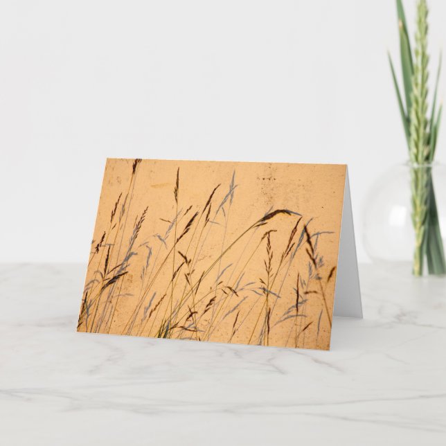 Tarjeta Sombras de verano (Anverso)