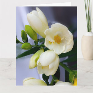 Tarjeta Sombras del amarillo en el freesia blanco