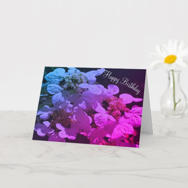 Tarjeta Sombras E Hidrangea Ligera Cumpleaños De Las Flore (Planta pequeña)