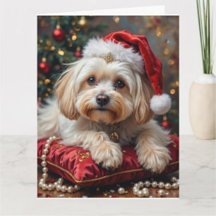 Tarjeta Sombrero Carmesí de Navidad Real Maltés
