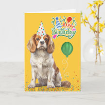 Sombrero de fiesta Cavalier King Charles Amarillo 