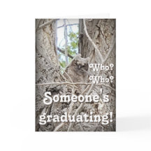 Someone's Graduating Who Who Owlet in Tree 