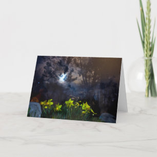 Tarjeta somos dueños de la noche