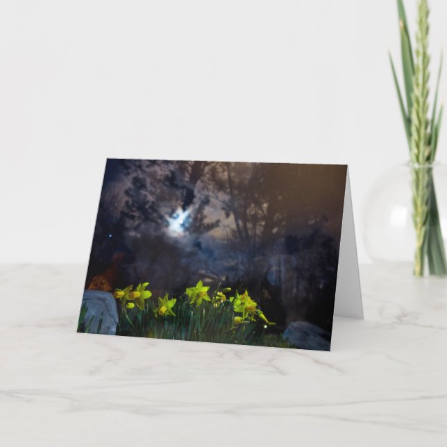 Tarjeta somos dueños de la noche (Anverso)