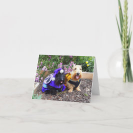 Tarjeta Somos Sonrisas de Abeja