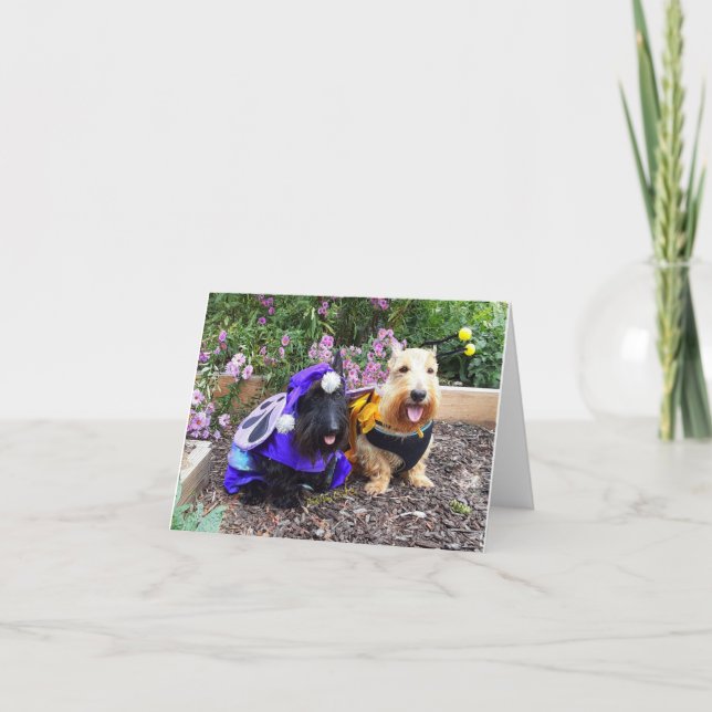Tarjeta Somos Sonrisas de Abeja (Anverso)