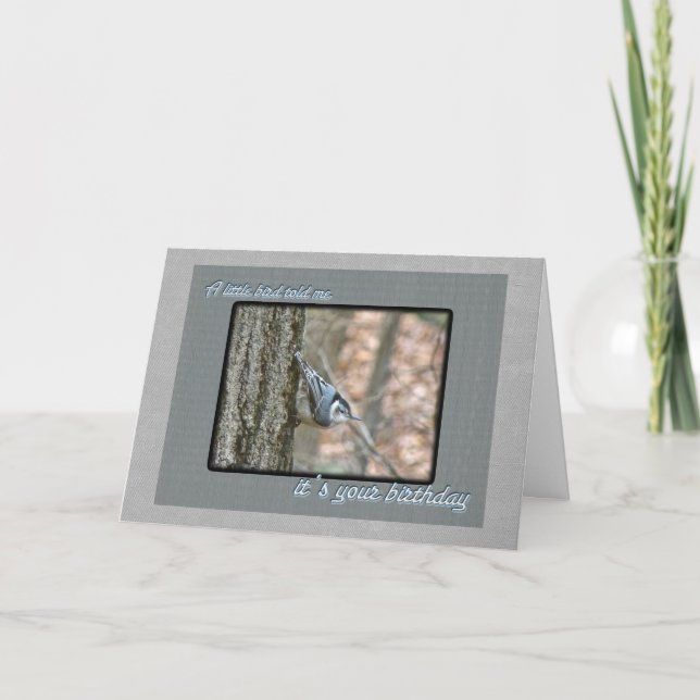 Tarjeta Songbird de cumpleaños de Slate Gray Nuthatch (Anverso)