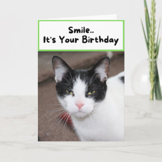 Tarjeta Sonríe. Es tu cumpleaños - gato