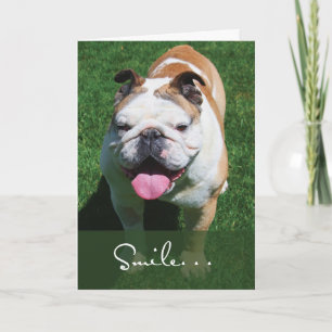Tarjeta Sonríe, Pensando en Ti, Bulldog