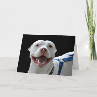 Tarjeta sonriente de pitbulls