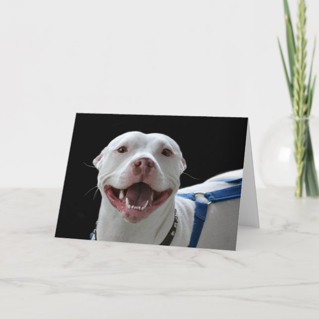 Tarjeta sonriente de pitbulls (Anverso)