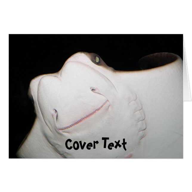 Tarjeta sonriente del rayo (Anverso (Horizontal))