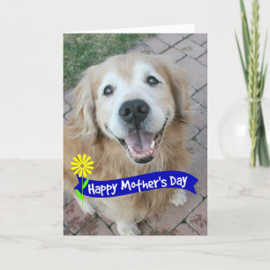 Tarjeta Sonriente Día de la Madre Golden Retriever