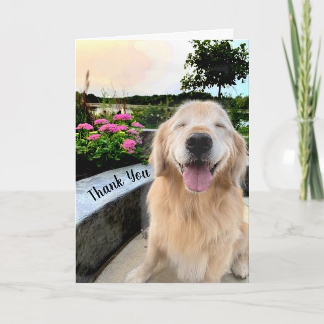 Tarjeta Sonriente Golden Retriever at Sunset Gracias (Anverso)