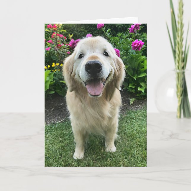 Tarjeta Sonriente Golden Retriever con flores gracias (Anverso)