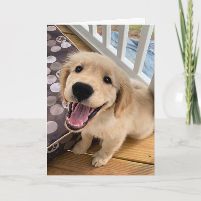 Tarjeta Sonriente lindo perro acribillador de oro saludo (Anverso)