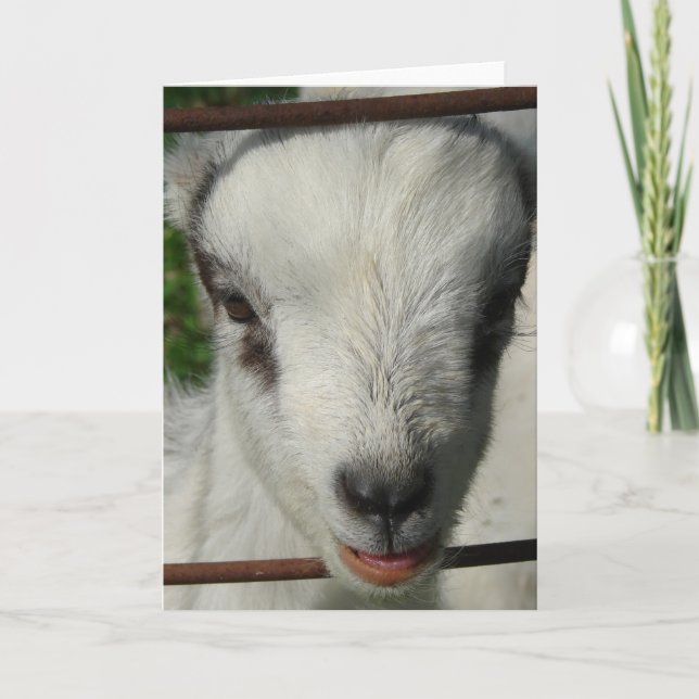 Tarjeta Sonrisa (Anverso)