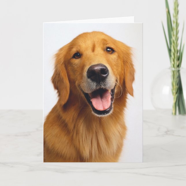 Tarjeta Sonrisa de Golden Retriever (Anverso)