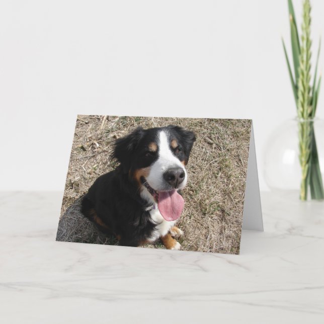 Tarjeta Sonrisa de perro de montaña bernés (Anverso)
