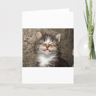 Tarjeta Sonrisa del gatito