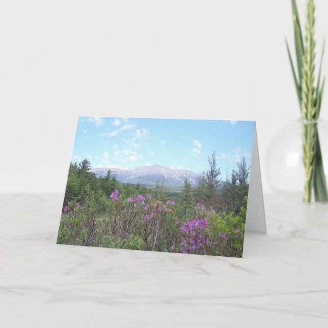 Tarjeta Soporte Katahdin y wildflowers (Anverso)
