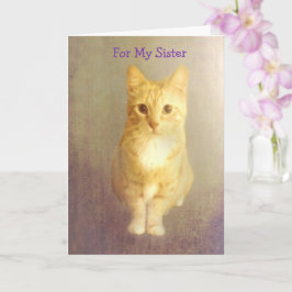 Tarjeta Sor Cáncer de Apoyo Corto Gato