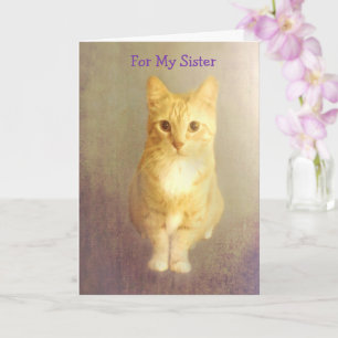 Tarjeta Sor Cáncer de Apoyo Corto Gato
