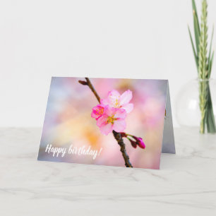 Tarjeta Sorprendente Grupo De Flores Sakura En Primavera