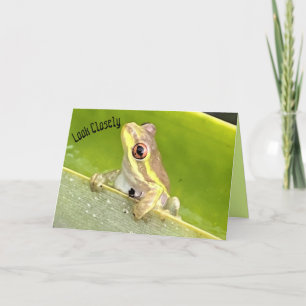 Tarjeta ¡Sorpresa! Rana arbórea en planta de piña