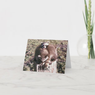 Tarjeta ¡Soso!  Notecard en blanco