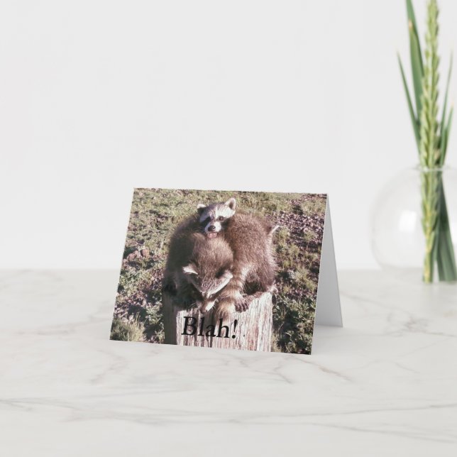 Tarjeta ¡Soso!  Notecard en blanco (Anverso)