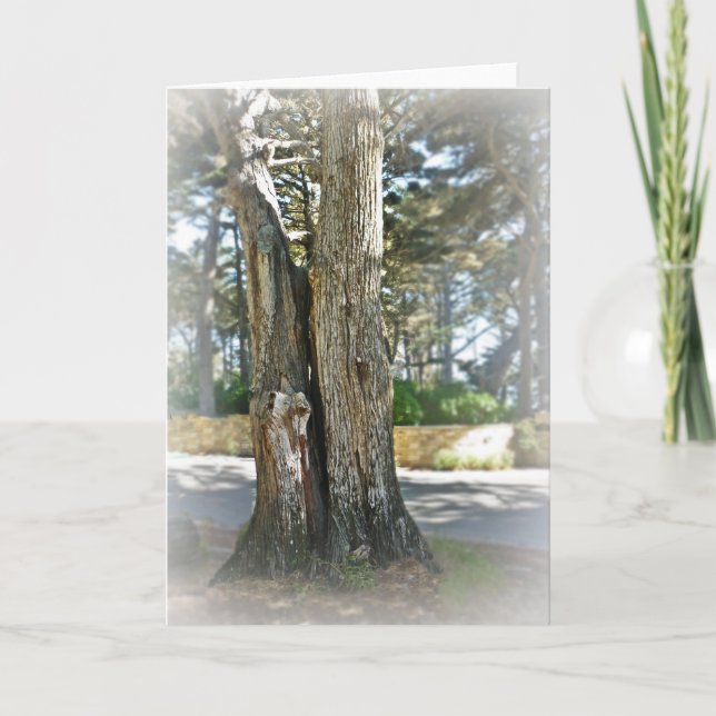 Tarjeta Soul Mates (Anverso)