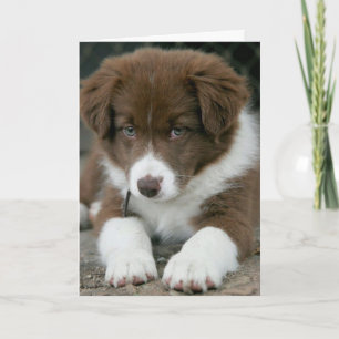 TARJETA ¡SOY "SERIO" SÍ, ESTOY EN TU CUMPLEAÑOS!