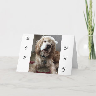 Tarjeta "SOY UN PERRO AFORTUNADO" para tener **TU* MAMÁ - 
