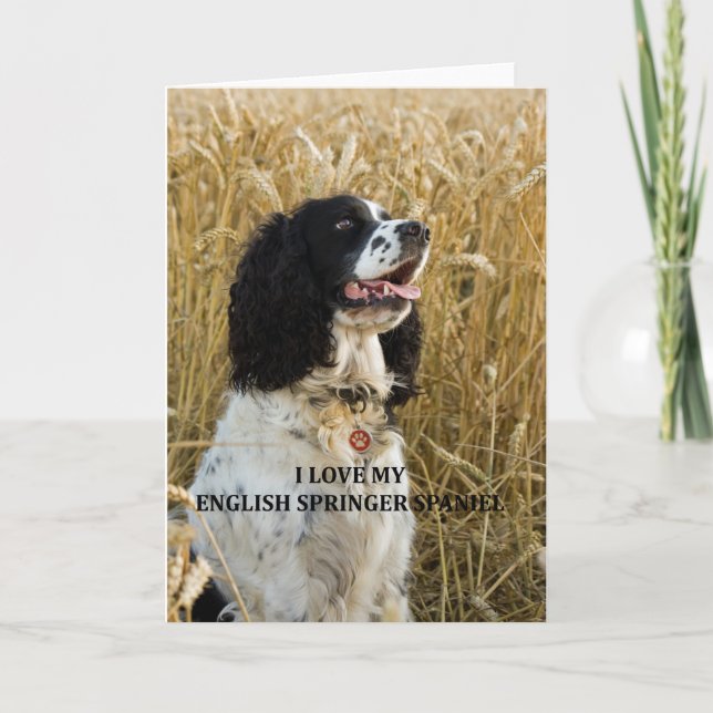 Tarjeta spaniel spaniel bwlove inglés con foto (Anverso)