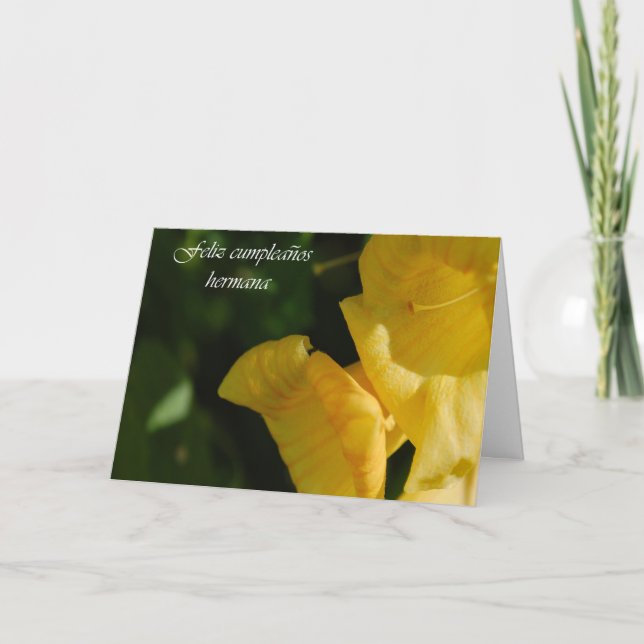 Tarjeta Spanish Birthday Card for Sister (Anverso)