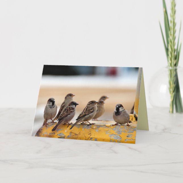 Tarjeta Sparrows (Anverso)